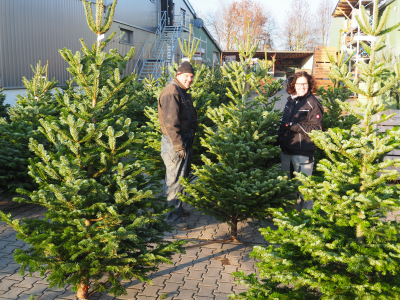 Weihnachtsbäume ab dem 09.12.2021
