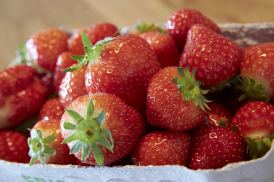Leckere Erdbeeren - räglich frisch